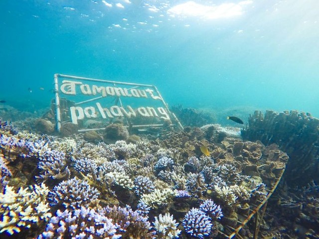 Pulau Pahawang